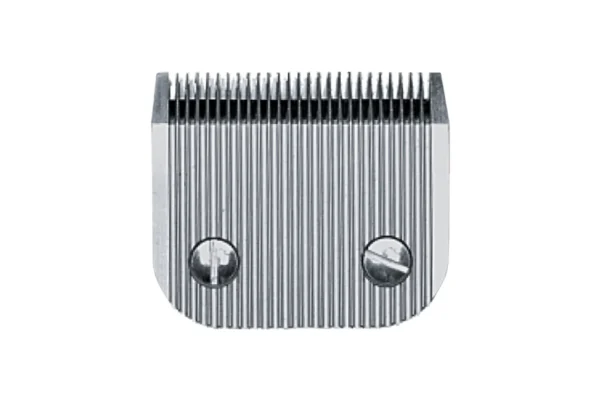 39020076