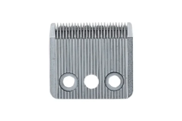 39020156